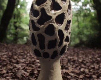 large concrete morel mushroom