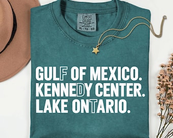 Camiseta Comfort Colors® FDT del Lago Ontario, Centro Kennedy, Golfo de México, Camiseta divertida de protesta, Regalo de activismo prodemocracia, Camiseta FDT discreta