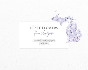 Michigan, Apple Blossom, State Flowers, Ditsy Florals, PNG, Digital Download