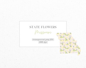 Missouri, Hawthorn Blossom, State Flowers, Ditsy Florals, PNG, Digital Download