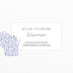 Wisconsin, Violett, Zustand Blumen, PNG, Digital Download