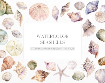 Könnte beinhalten: Aquarell-Muscheln in verschiedenen Formen und Farben, darunter Rosa, Beige und Blau, auf weißem Hintergrund. Das Bild zeigt einen Seeigel und einen Seestern. Der Text lautet "Watercolor Seashells" und "30 transparent png files | 300 dpi."