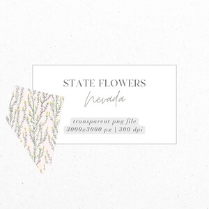 Nevada, armoise, fleurs de l'État, petits fleurs, PNG, téléchargement numérique