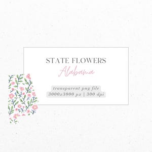 Alabama, camélia, fleurs d'État, petits fleurs, PNG, téléchargement numérique