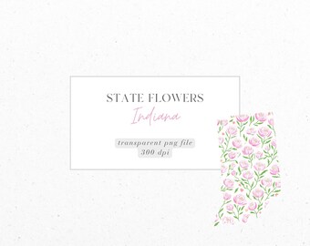 Indiana, Peony, State Flowers, Ditsy Florals, PNG, Digital Download