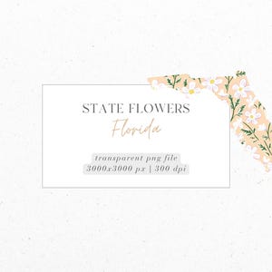 Florida, Orangenblüte, Zustand Blumen, PNG, digitaler Download