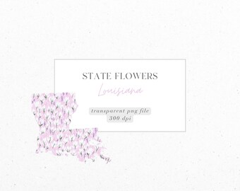 Louisiana, Magnolia, Staatsbloemen, Ditsy Florals, PNG, Digitale download