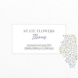 illinois, violett, Zustandsblumen, PNG, digitaler Download