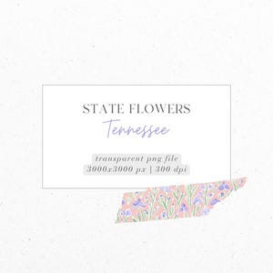 Tennessee, Iris, Staatsbloemen, Ditsy Florals, PNG, Digitale download