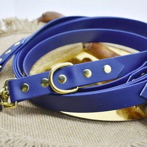 Peut inclure: Une laisse pour chien bleu foncé enroulée, avec des accessoires dorés, notamment des mousquetons, des rivets et des anneaux en D. La laisse est faite d'un matériau lisse et durable.