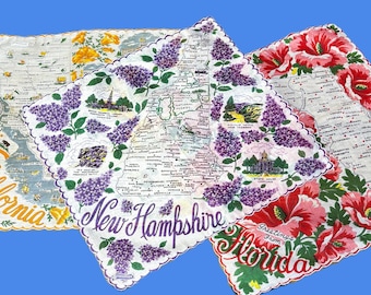 Vintage NWT Franshaw Choice USA State Handkerchiefs**#12