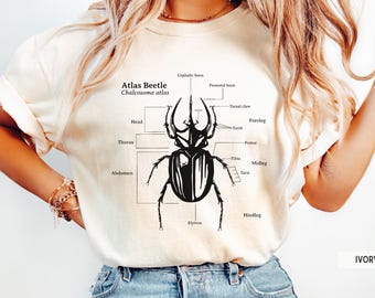 Bug Lover Shirt, Vintage Entomology Shirt, Bug Lover Gift, Insect Lover Shirt, Beetles, Atlas Beetle