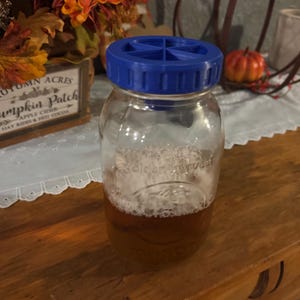 Fruit Fly Trap