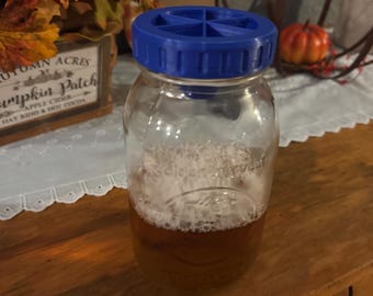 Fruit Fly Trap