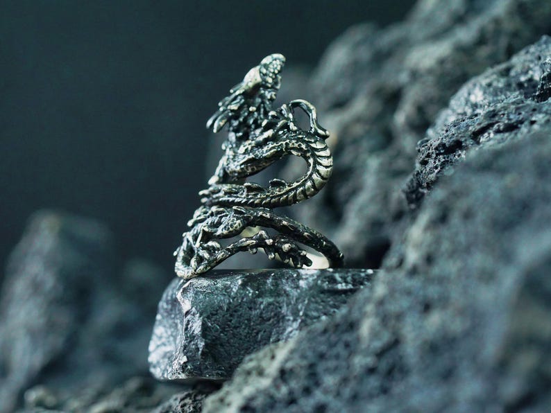 May include: A detailed silver dragon ring, coiled around the finger. The dragon's scales and features are intricately carved, creating a textured appearance. The ring is set against a dark, rocky background, highlighting the metallic sheen.
