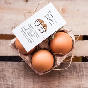 Egg Handling Cards for Cartons | Fresh Egg Care Inserts | Starter Pack | 50 or 100 Count