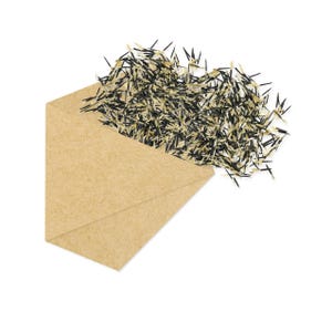 Peut inclure: Une enveloppe en papier brun partiellement ouverte, laissant apparaître une pile de petites graines noires et beiges. Les graines sont regroupées, créant un aspect texturé sur fond blanc. L'enveloppe est en papier brun clair texturé.