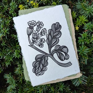 Puede incluir: Grabado en linóleo en blanco y negro de una flor estilizada con hojas sobre un fondo blanco. La impresión está montada en un papel verde claro y marrón.