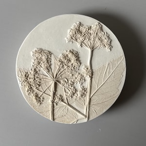 Op de afbeelding: Een cirkelvormige, gebroken witte gipsplaat met een gedetailleerde reliëfafdruk van fluitenkruidplanten. Het ontwerp bevat getextureerde bloemhoofdjes en geaderde bladeren die in het oppervlak zijn gedrukt, wat een verhoogd botanisch patroon creëert.