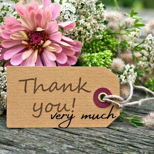 Puede incluir: Una etiqueta de regalo de papel marr&oacute;n con el texto "&iexcl;Muchas gracias!" atada con un cordel a un ramo de flores rosas.