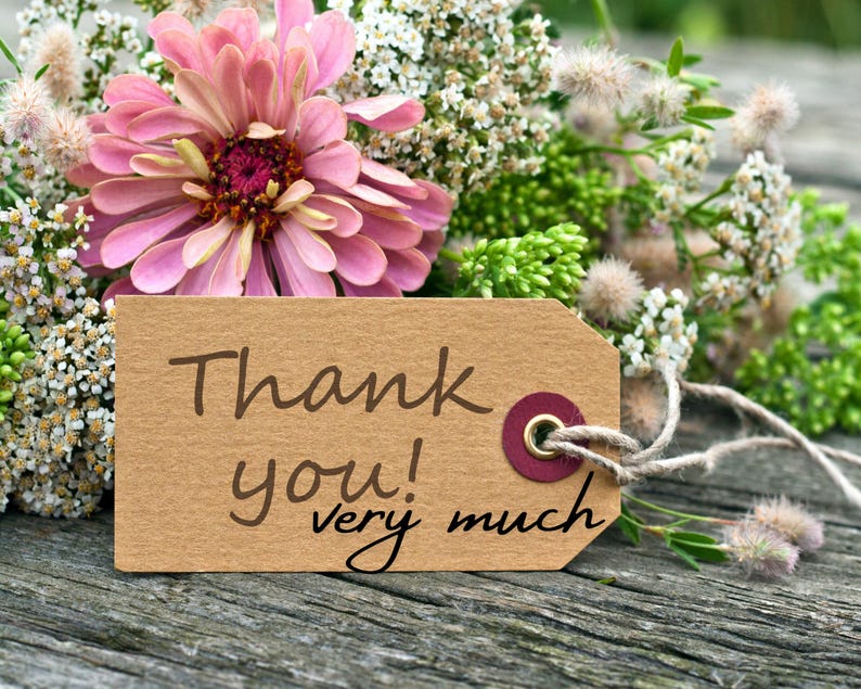 Puede incluir: Una etiqueta de regalo de papel marr&oacute;n con el texto "&iexcl;Muchas gracias!" atada con un cordel a un ramo de flores rosas.