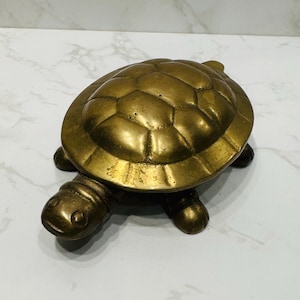 May include: A solid brass turtle figurine with a detailed shell and a smooth, polished finish.