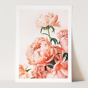 Watercolour Peony Flowers Art Print | Framed Painting | Pretty Floral Bouquet | Soft Pink Aesthetic | Organic, Nature Decor | Gift For Her