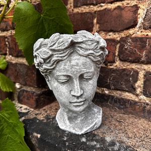 Könnte beinhalten: Ein grauer Beton-Blumentopf in Form eines klassischen Frauenkopfes mit geschlossenen Augen und einem Lorbeerkranz. Der Topf steht vor einer verwitterten Backsteinmauer und einer dunklen Steinoberfläche, mit grünen Blättern im Hintergrund.