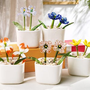 Handgjorda krukväxter i glas, Glassuckulenter, Färgade glasväxter, Glasblommor, För kaktusälskare, Bildekorationer, Födelsedagspresenter, Julklappar