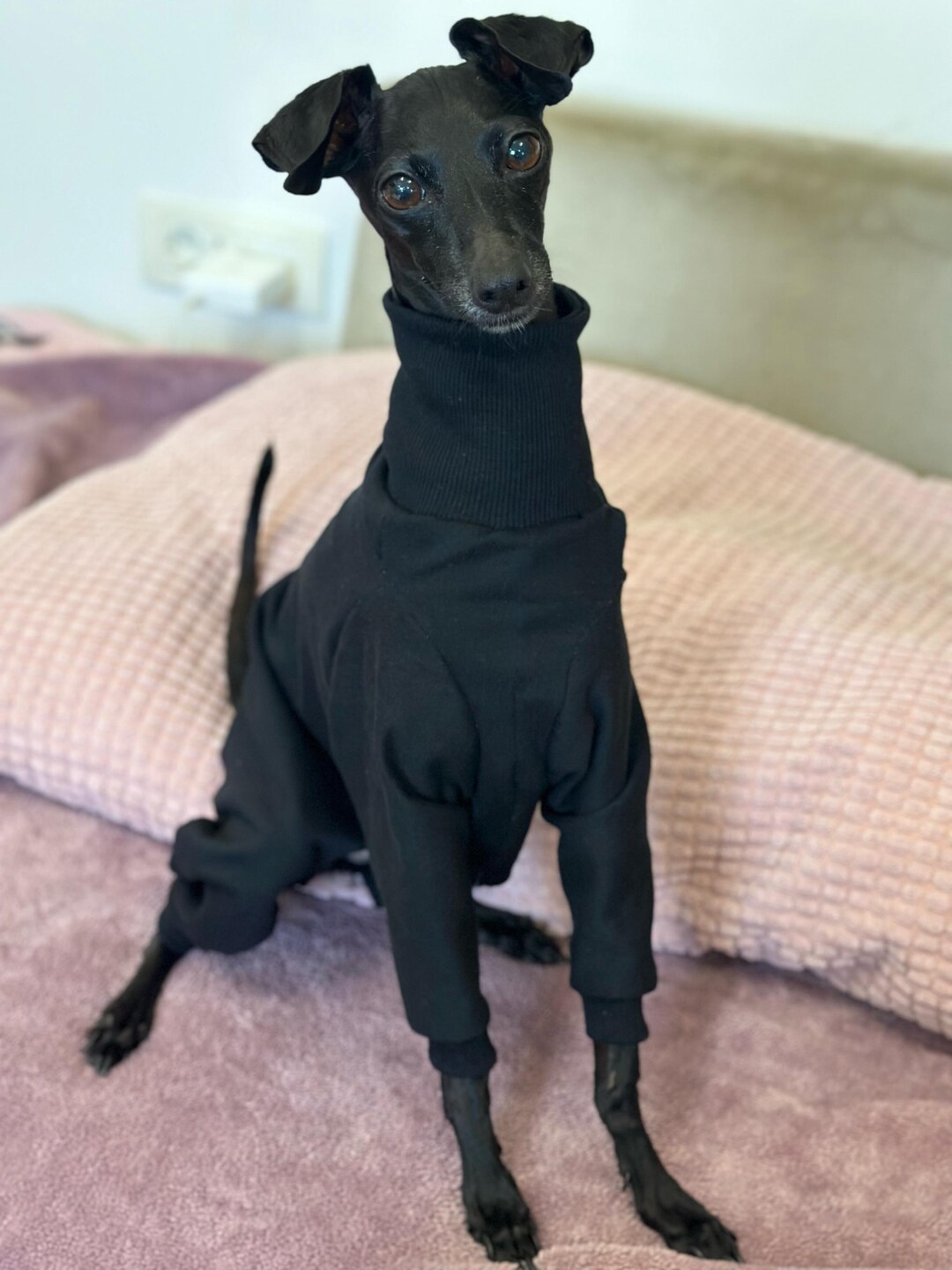 Italian Greyhound Pajamas - Etsy