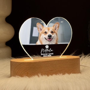 Benutzerdefinierte Haustier-Denkmal-LED-Nachtlicht, benutzerdefinierte Hunde-Haustier-Foto-Nachtlicht, Foto-Haustier-Liebhaber-Nachtlicht, Haustier-Verlust-Beileidgeschenk, Erinnerungs-Lampe