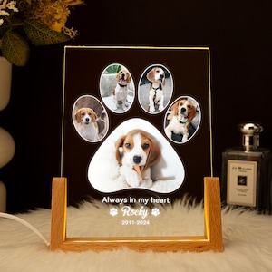Benutzerdefinierte Haustier-Foto-LED-Nachtlicht, personalisierte Foto-Haustier-Liebhaber-Lampe, Haustier-Gedenknachtlicht, Haustierverlust-Acrylrahmen, Haustier-Gedenkrahmen
