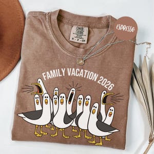May include: An espresso-colored t-shirt with a crew neckline and a Comfort Colors brand label. The graphic features a group of white and gray seagulls with yellow beaks and feet, some with open mouths, and the text FAMILY VACATION 2026.