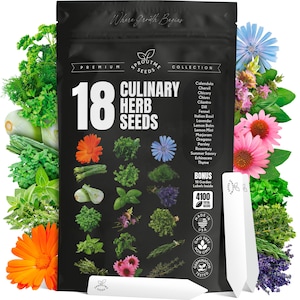 18 Culinary Seeds Variety Herb Garden Starter Kit Non-GMO Heirloom Indoor Outdoor Basil Cilantro Parsley Oregano Rosemary Thyme Plant Labels