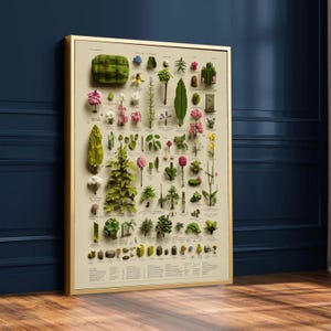 Puede incluir: Un grabado botánico enmarcado con una variedad de plantas y flores. El grabado muestra ilustraciones detalladas de diferentes especies, incluyendo árboles, flores y otra vida vegetal, con un fondo beige y un marco dorado.