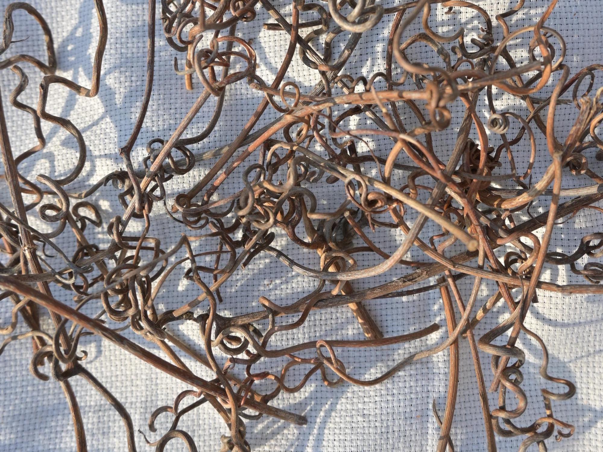 30 Wooden Grape Vine Curled Sticks for Crafting Projects