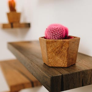 Blumentopf Muttertagsgeschenk Versandfertig Holzpflanzerkasten Sukkulentenpflanzer Handgemachte Holzblumen Mooreiche Blumendekor