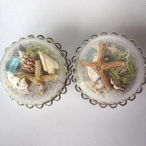 Pair of Beach in a Bubble Statement Plugs Real Sand Shells Sea Glass Starfish 7/8 image 1