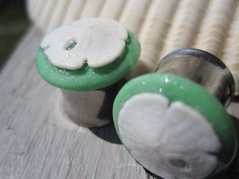 Pair of Seafoam Plugs w/ Real Sand Dollars 4g 2g 0g 00g Etsy