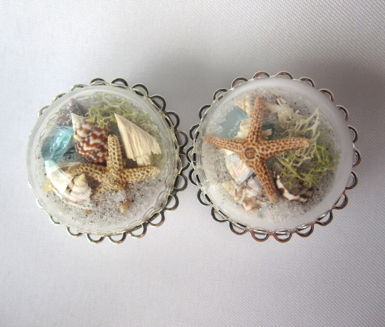 Pair of Beach in a Bubble Statement Plugs Real Sand Shells Sea Glass Starfish 7/8 image 1