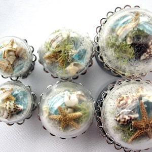 Pair of Beach in a Bubble Statement Plugs Real Sand Shells Sea Glass Starfish 7/8 image 4