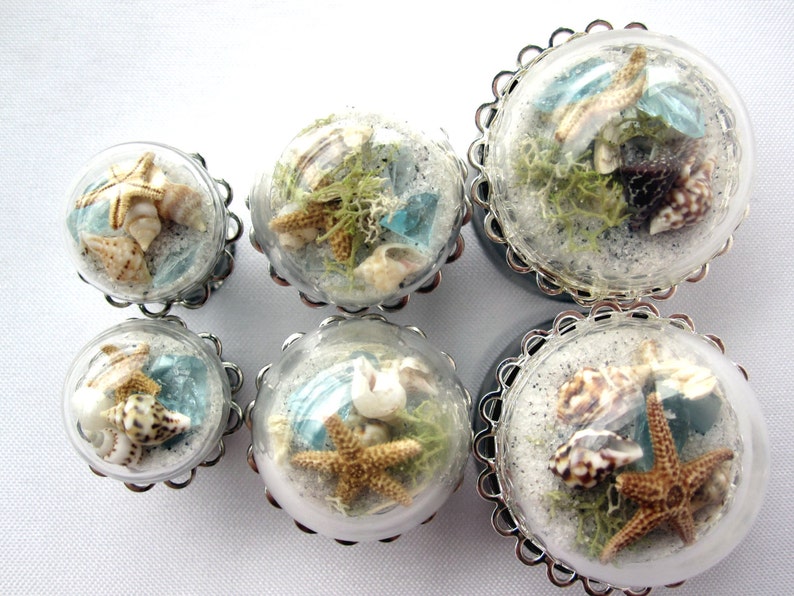 Pair of Beach in a Bubble Statement Plugs Real Sand Shells Sea Glass Starfish 7/8 image 4