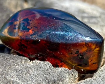 May include: A polished, irregular piece of amber displaying a deep, translucent reddish-brown base color with prominent iridescent blue and green surface reflections. The stone features internal dark inclusions and a smooth, glossy finish.