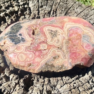 AAA Grade Rhodochrosite Stalactite Freeform | Collector’s Specimen | 515g | Capillitas Mine, Argentina