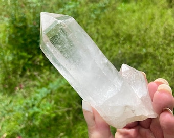 May include: A clear quartz crystal with a pointed tip and a smaller crystal attached. The crystal is held against a backdrop of green foliage. The quartz is translucent, allowing light to pass through.