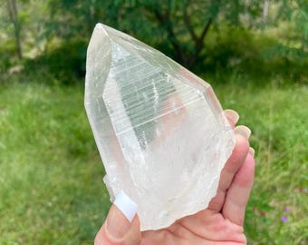 May include: A large, clear quartz crystal with a pointed tip and a rough, textured base. The crystal is held in a hand against a backdrop of green grass and trees. The crystal's facets catch the light, creating a sparkling effect.