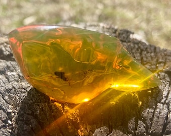 May include: A translucent, golden-yellow amber stone with a smooth, polished surface. The gemstone exhibits internal clarity with visible natural inclusions and reflects bright sunlight, creating a warm glow across its irregular, rounded shape.
