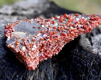 May include: A close-up of a red and gray rock with a rough texture. The rock is covered in small, red crystals.