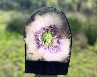 May include: A polished, natural amethyst geode slice. The geode features a white and purple crystal interior with a dark gray and black outer edge. The center reveals a green, natural opening. A unique decorative item.