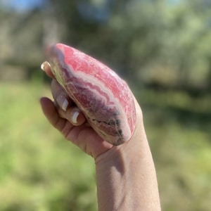 AAA Grade Rhodochrosite Stalactite Freeform | Collector’s Specimen | 640g | Capillitas Mine, Argentina